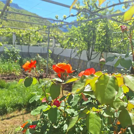 Agroturismo Veliu House & Farm