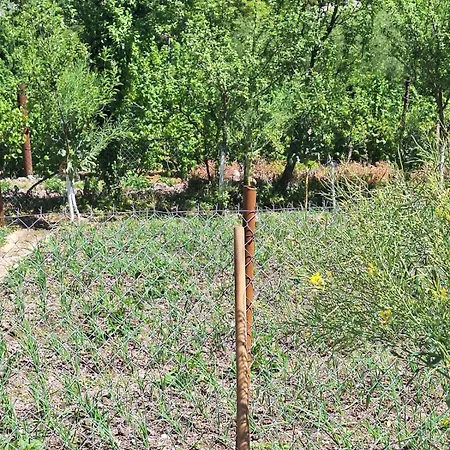 Veliu House & Farm Gjirokastër